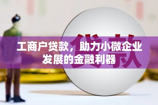 合浦工商户贷款，助力小微企业发展的金融利器