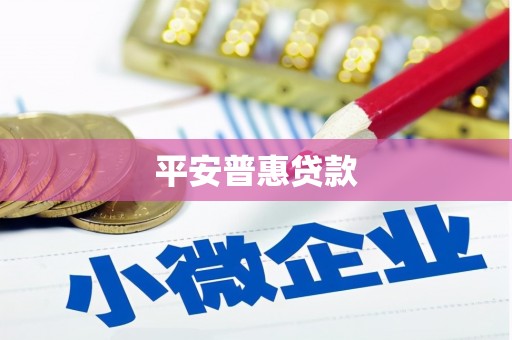 合浦平安普惠贷款