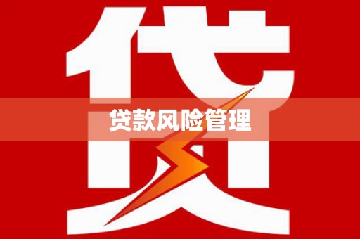 合浦贷款风险管理