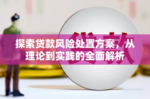 合浦探索贷款风险处置方案，从理论到实践的全面解析