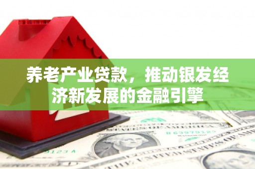 合浦养老产业贷款，推动银发经济新发展的金融引擎