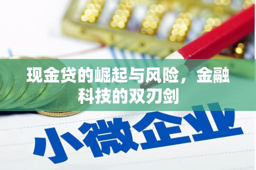 合浦现金贷的崛起与风险，金融科技的双刃剑