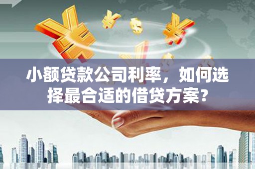 合浦小额贷款公司利率，如何选择最合适的借贷方案？