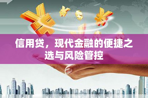合浦信用贷，现代金融的便捷之选与风险管控