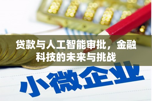合浦贷款与人工智能审批，金融科技的未来与挑战