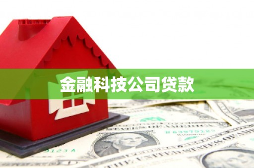 合浦金融科技公司贷款