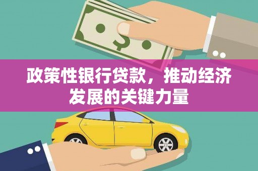 合浦政策性银行贷款，推动经济发展的关键力量
