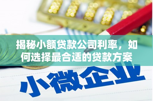 合浦揭秘小额贷款公司利率，如何选择最合适的贷款方案