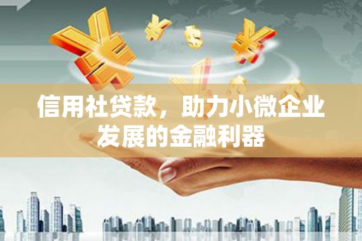 合浦信用社贷款，助力小微企业发展的金融利器