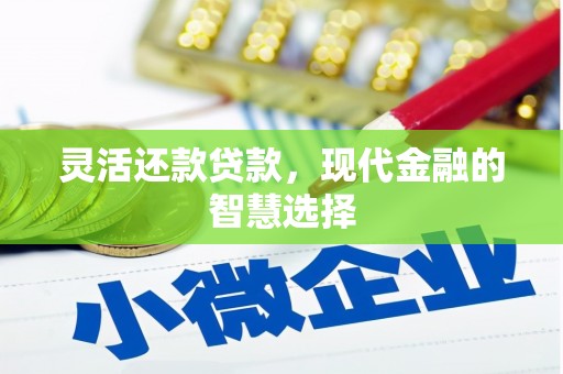 合浦灵活还款贷款，现代金融的智慧选择