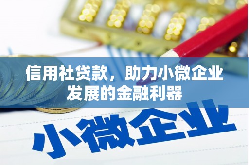 合浦信用社贷款，助力小微企业发展的金融利器