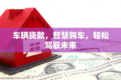 合浦车辆贷款，智慧购车，轻松驾驭未来