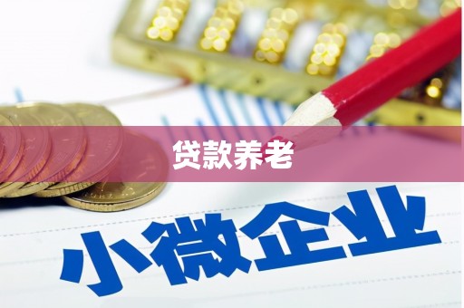 合浦贷款养老