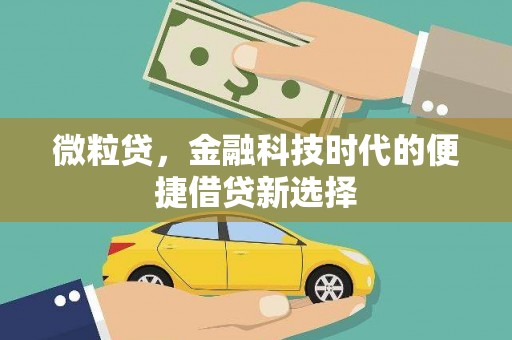 合浦微粒贷，金融科技时代的便捷借贷新选择