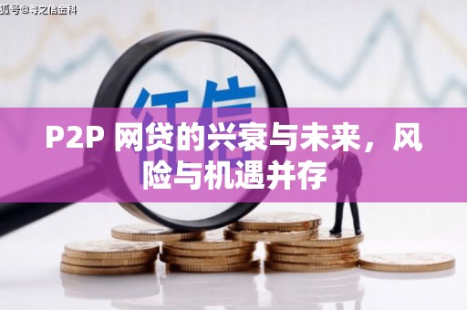 合浦P2P 网贷的兴衰与未来，风险与机遇并存