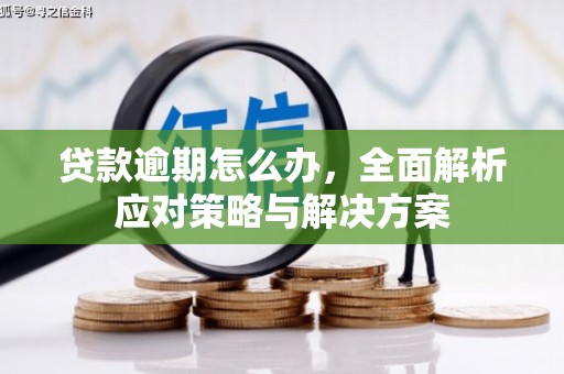 合浦贷款逾期怎么办，全面解析应对策略与解决方案