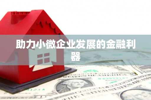 合浦助力小微企业发展的金融利器
