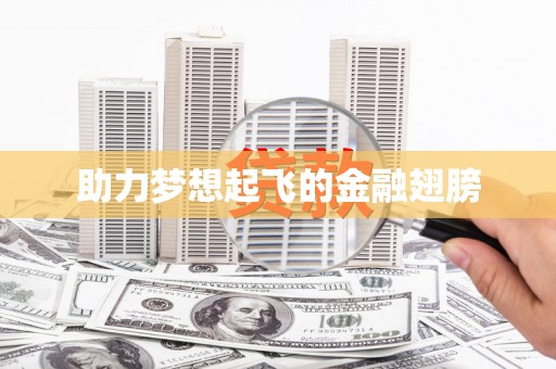 合浦助力梦想起飞的金融翅膀