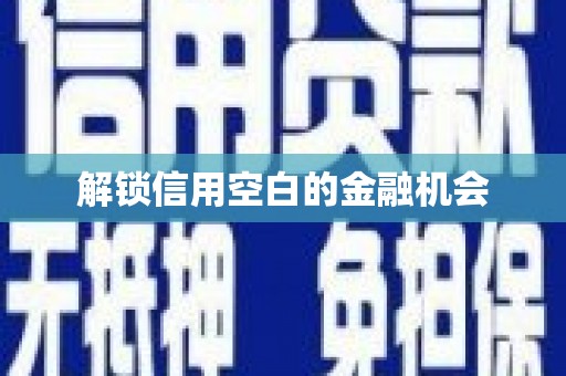 合浦解锁信用空白的金融机会