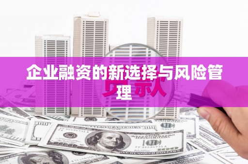 合浦企业融资的新选择与风险管理