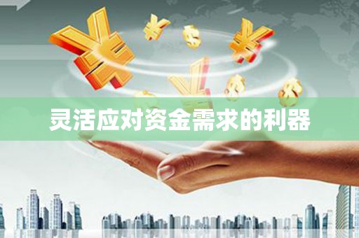 合浦灵活应对资金需求的利器