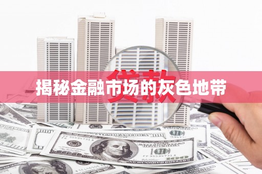 合浦揭秘金融市场的灰色地带