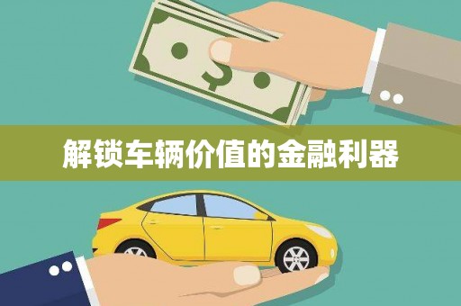 合浦解锁车辆价值的金融利器