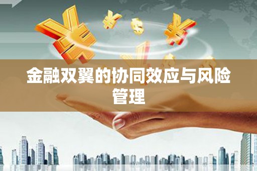 合浦金融双翼的协同效应与风险管理