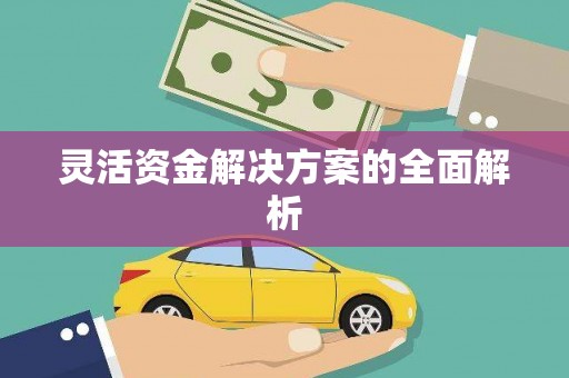合浦灵活资金解决方案的全面解析