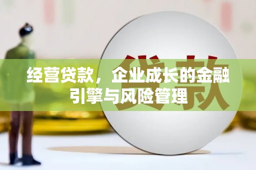 合浦经营贷款，企业成长的金融引擎与风险管理