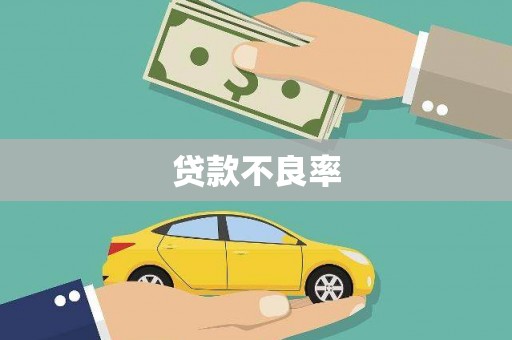 合浦贷款不良率