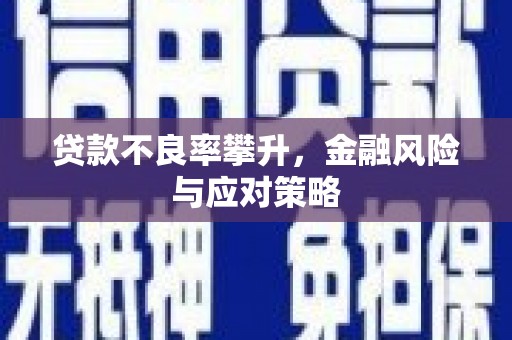 合浦贷款不良率攀升，金融风险与应对策略