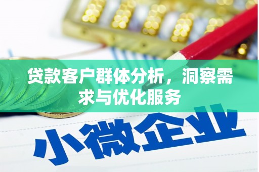 合浦贷款客户群体分析，洞察需求与优化服务